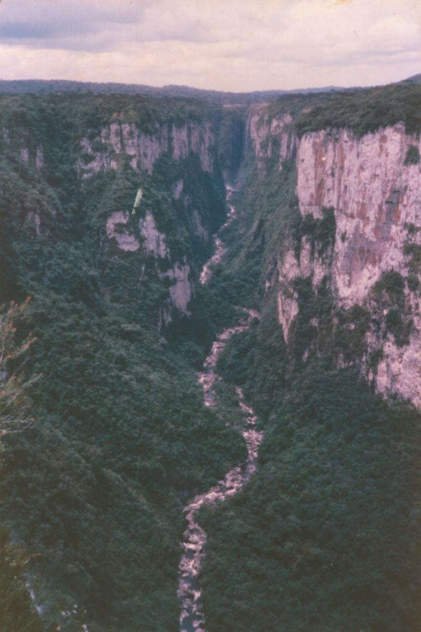 863x1296 pixels (112,4K)